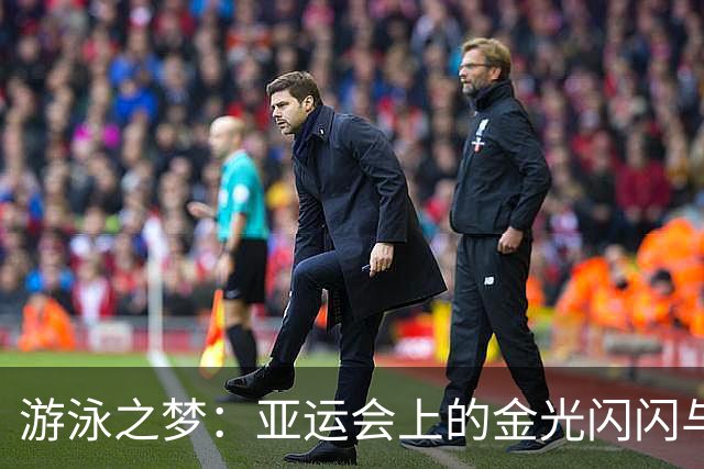 游泳之梦：亚运会上的金光闪闪与水花四溅